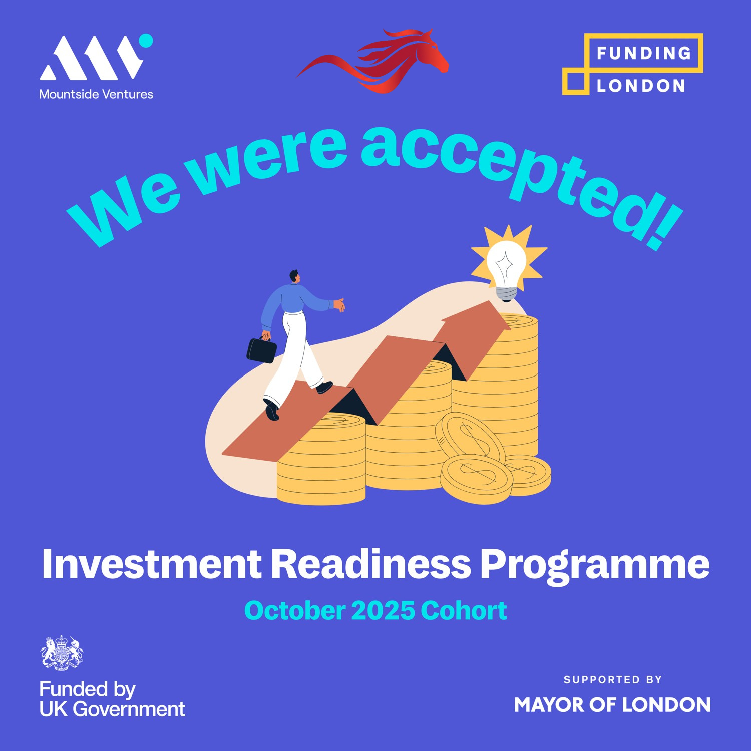 Investment Programme